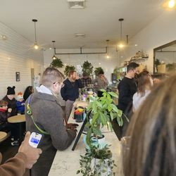 Adelie Coffee House - Inside