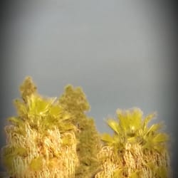 City of Los Alamitos - The rain is coming...