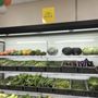 Swagat Grocers