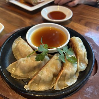 Sushi Den - Gyoza - Japanese Near Me - Denver, Colorado