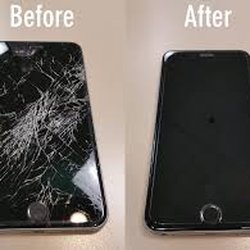Marshfield Technology