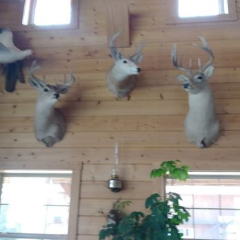 Range Country - Add more trophies - Hotels Near Me - Murdo, South Dakota Range Country - Add more trophies - Hotels Near Me - Murdo, South Dakota