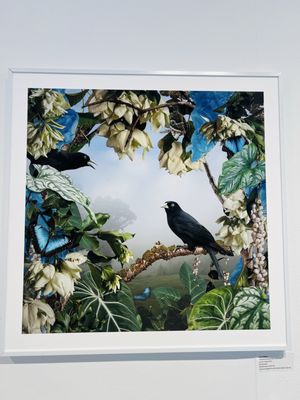 Houston Center For Photography by null