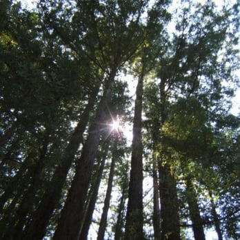 Huddart County Park - Parks Near Me - Woodside, California Huddart County Park - Parks Near Me - Woodside, California