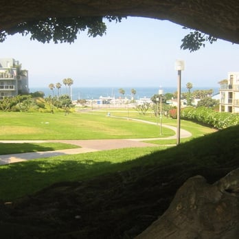 Czuleger Park - looking through tree limbs - Parks Near Me - Redondo Beach, California
