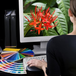 Hawk Graphics - Creative Services
