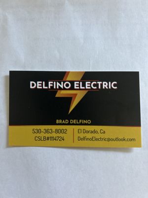 Delfino Electric