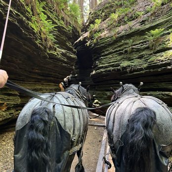 Lost Canyon Tours - Amusement Parks Near Me - Wisconsin Dells, Wisconsin Lost Canyon Tours - Amusement Parks Near Me - Wisconsin Dells, Wisconsin