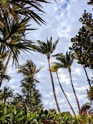 Fontainebleau Miami Beach by null