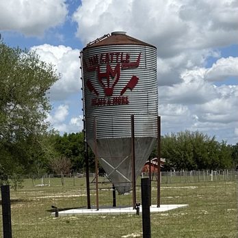 HM Cattle - Butcher Near Me - Mascotte, Florida HM Cattle - Butcher Near Me - Mascotte, Florida