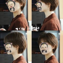 Salon Tai II - Picture I show to the stylist.