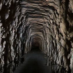 Stumphouse Tunnel - Tunnel