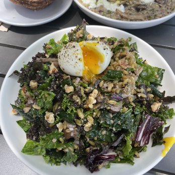 Kantine - kale and mushroom bowl - Scandinavian Near Me - San Francisco, California Kantine - kale and mushroom bowl - Scandinavian Near Me - San Francisco, California