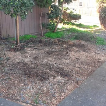 Custom Stump Grinders - No more stump - Landscaping Near Me