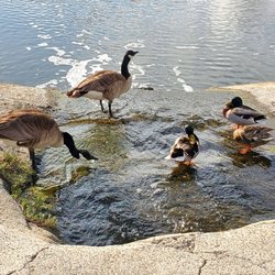 Back Bay Loop Trail - Back Bay Life