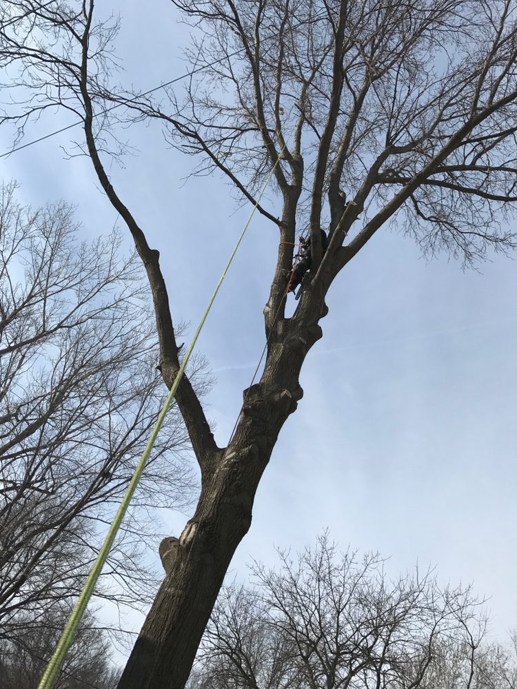 Slide of Champ Vision Roofing Services