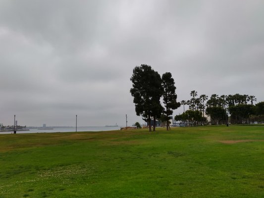 Harry Bridges Memorial Park by null