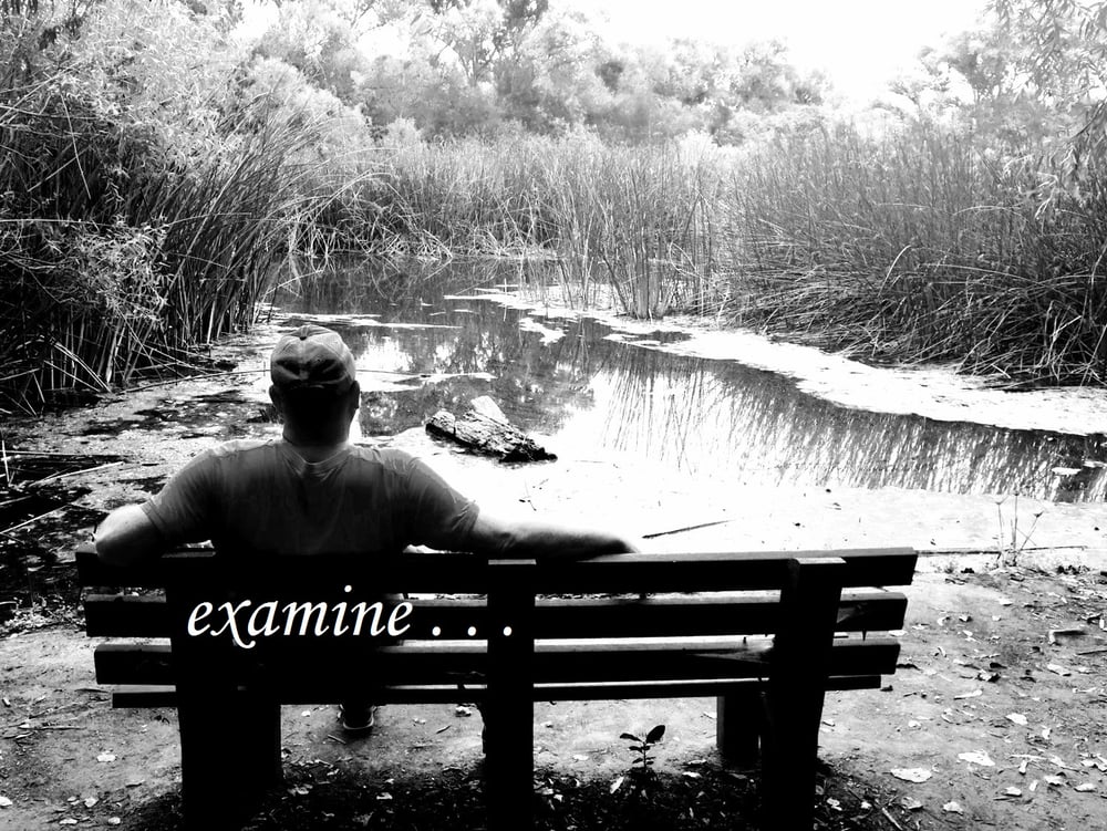 Joe Pelzman,  LMFT - grief counselor in Long Beach, CA