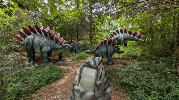 Dinosaur World by null