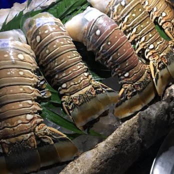 Blue Lobster - Seafood Near Me - Playa del Carmen, ROO Blue Lobster - Seafood Near Me - Playa del Carmen, ROO