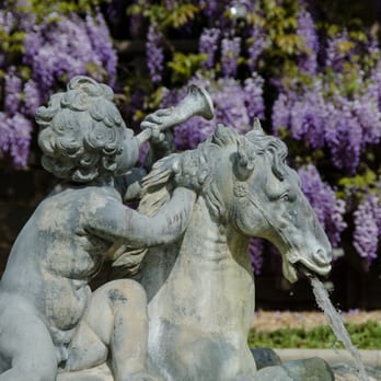 Dumbarton Oaks - Wisterias bloom at Dumbarton Oaks - Botanical Gardens Near Me - Washington, DC, District of Columbia Dumbarton Oaks - Wisterias bloom at Dumbarton Oaks - Botanical Gardens Near Me - Washington, DC, District of Columbia