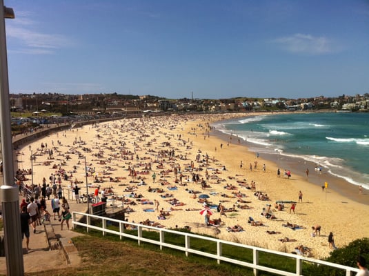 Bondi Beach by null