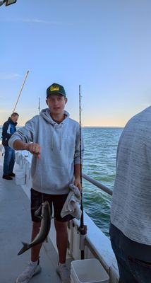 best priced fishing pole Amazon Sellers: Best Rod & Reel Combos 65 Piece Jarvis Walker Color:Rootbeer Chartreuse GF Series See specs