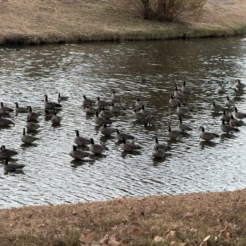Medi Park - Geese city. Alexa play Taxes by Geese - Parks Near Me - Amarillo, Texas