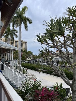 High Tide Social House by null