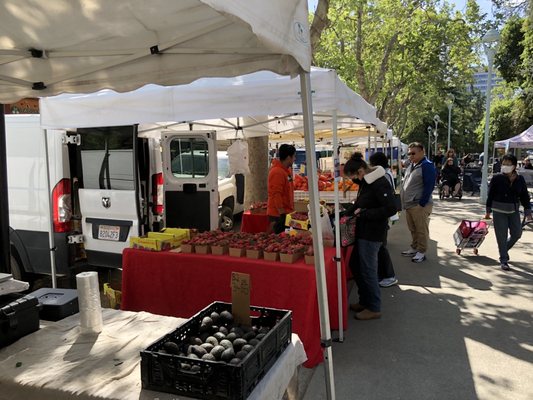 Concord Farmers' Market by null