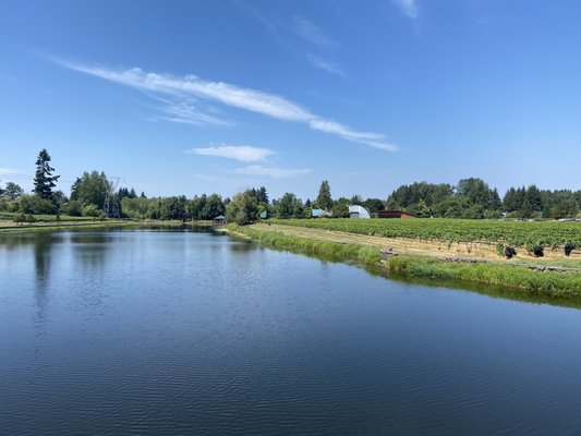 Bethany Vineyard & Winery by null