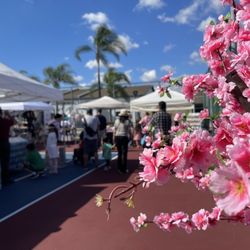 Cherry Blossom Festival