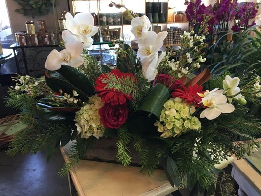 Daylily Floral Cascade by null