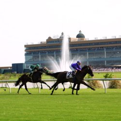 Lone Star Park