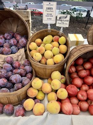 Sherman Oaks Farmers Market by null