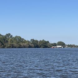 Adventures of Jean Lafitte - Swamp tour