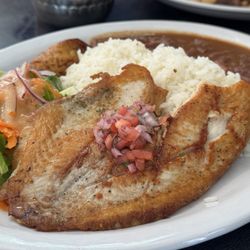 Lunch Special: Grilled Fish