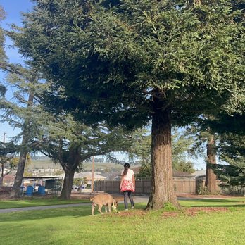 Halcyon Park - Parks Near Me - San Leandro, California