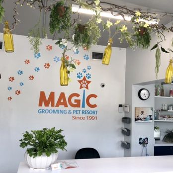 Magic Grooming - Front Desk - Pet Sitting Near Me - North Bay Village, Florida