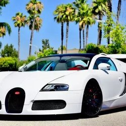 Cruise Services - CruiseServicesllc luxury services