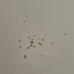Not sure WTF this is on ceiling above the bed!