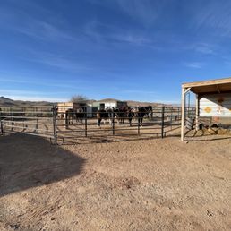 Horse Stables Horse Stables