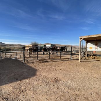 Wild West Horseback Adventures - Horse Stables - Horseback Riding Near Me - Las Vegas, Nevada Wild West Horseback Adventures - Horse Stables - Horseback Riding Near Me - Las Vegas, Nevada