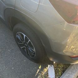Budget Car Rental