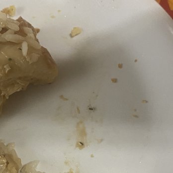 Golden Corral Buffet & Grill - A spider - Buffets Near Me - Mcdonough, Georgia