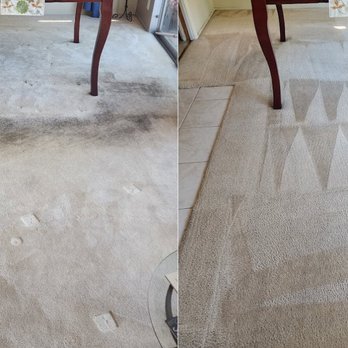 Clean It Up Services - Carpet Cleaning Near Me