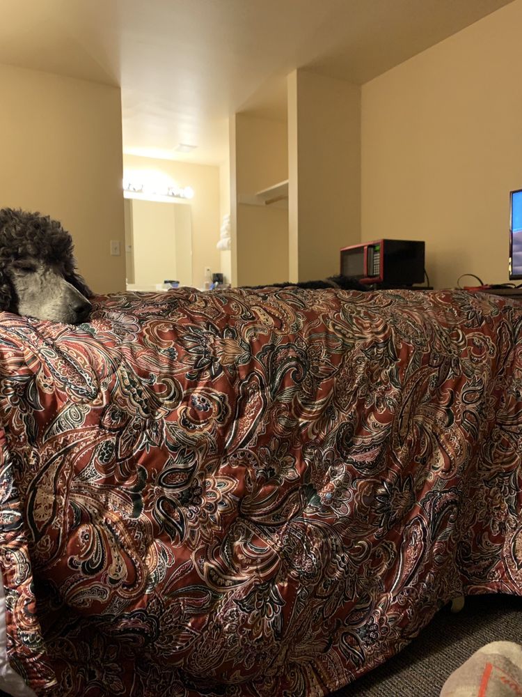 HADLOCK MOTEL Updated August 2024 17 Photos & 10 Reviews 181 Chimacum Rd, Port Hadlock