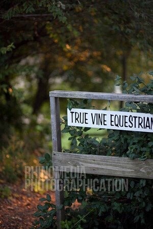 True Vine Equestrian Center - equestrian in Mattawan, MI