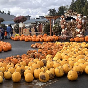 Bauman's Farm and Garden - Fruits & Veggies Near Me - Gervais, Oregon