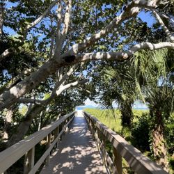 Marco Beach Ocean Suites - Walk to the beach